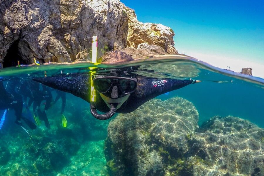 From L’Estartit: Snorkeling Trip to the Medes Islands - What the $45 price really includes