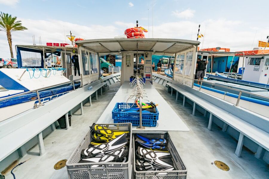 From L’Estartit: Snorkeling Trip to the Medes Islands - Who should book this snorkeling trip?