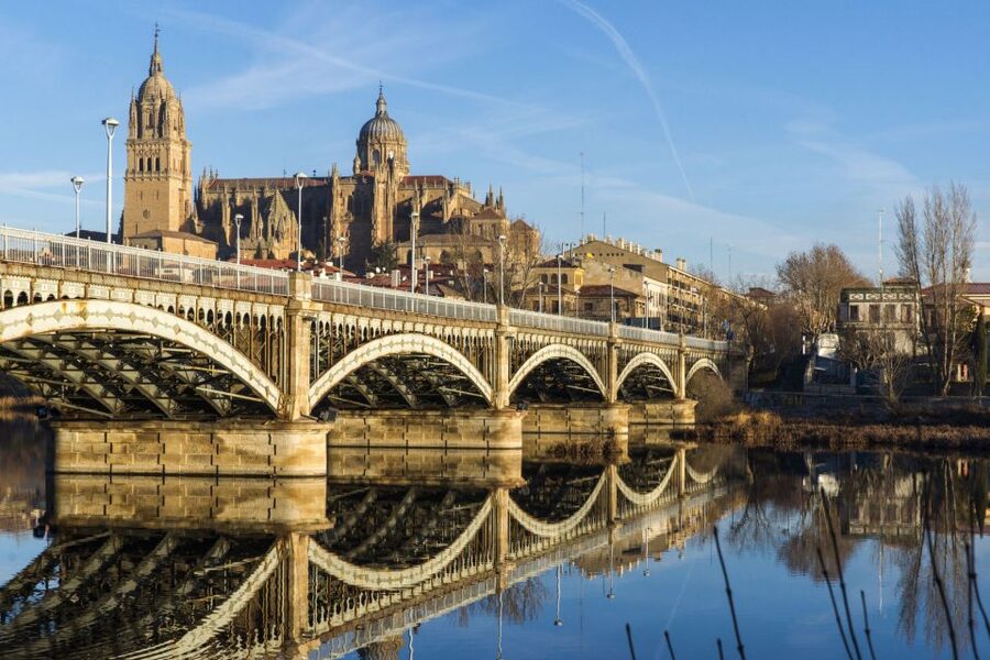From Madrid: Day Trip to Ávila and Salamanca w/ Guided Tour - The road to Ávila and a change of mood