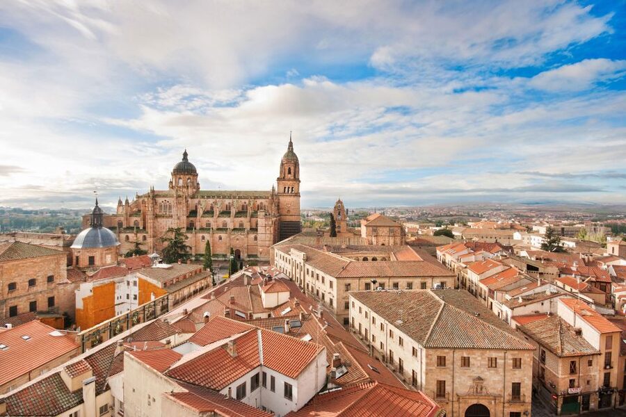 From Madrid: Day Trip to Ávila and Salamanca w/ Guided Tour - Practical advice for making the day easier