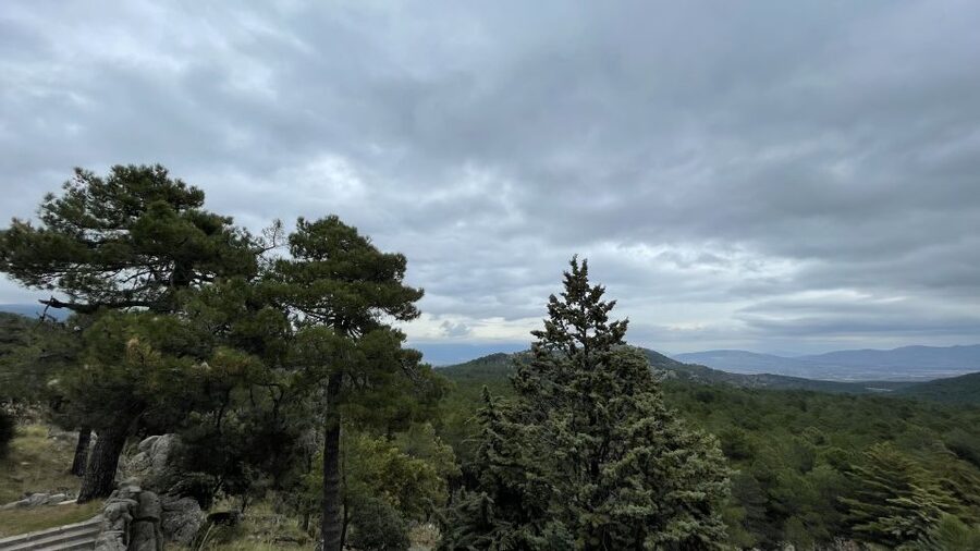 From Madrid: Escorial Monastery and the Valley of the Fallen - Who gets the most from this tour