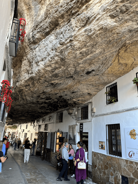 From Malaga: Ronda and Setenil de las Bodegas Day Trip - Who should book this day trip?