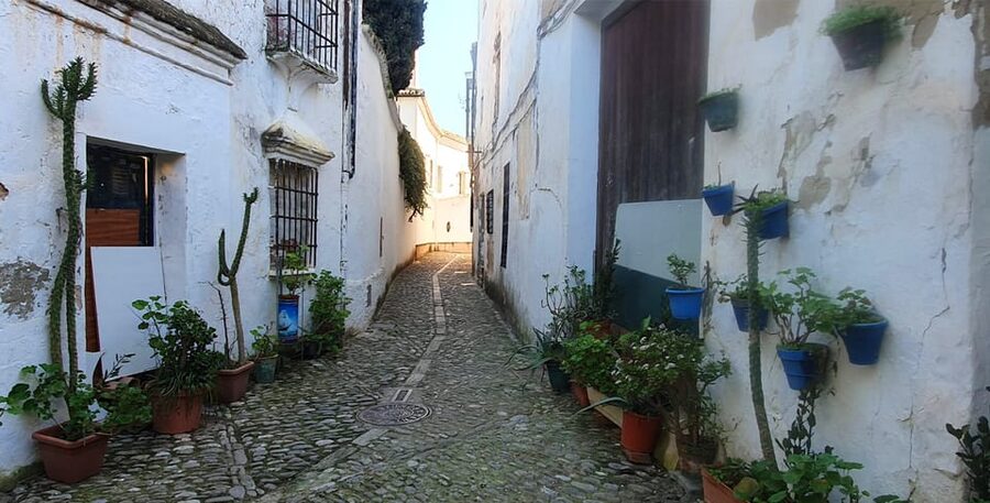 From Malaga: Ronda and Setenil Tour with Scenic Train - Is $28 good value?