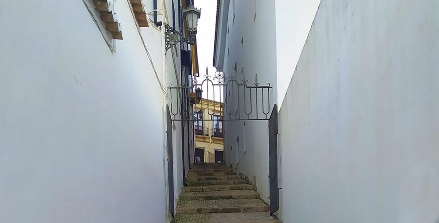 From Malaga: Ronda and Setenil Tour with Scenic Train - Guides, pace, and group comfort