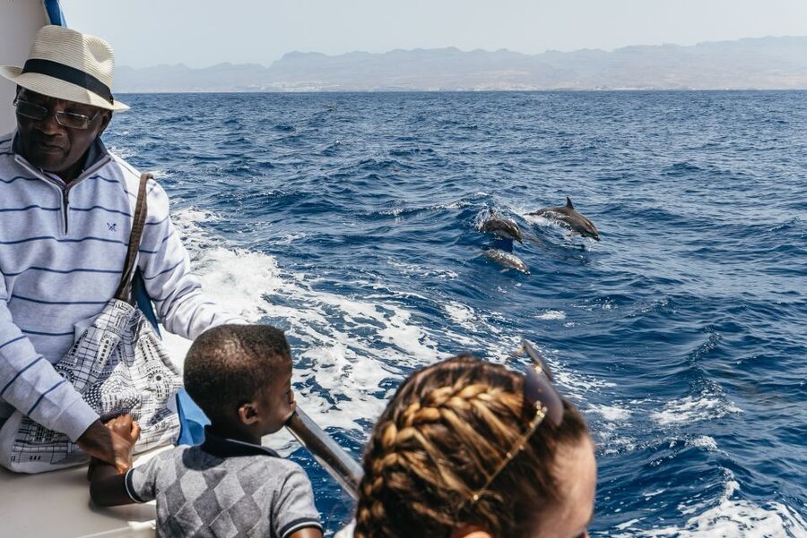 From Puerto Rico de Gran Canaria: Dolphin Watching Cruise - Price, value, and who should book