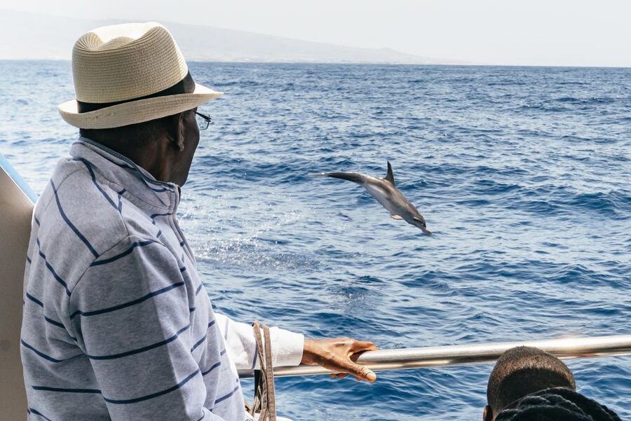 From Puerto Rico de Gran Canaria: Dolphin Watching Cruise - What a dolphin encounter feels like