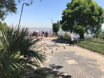 Full Day Barcelona Panoramic Tour with Free Time