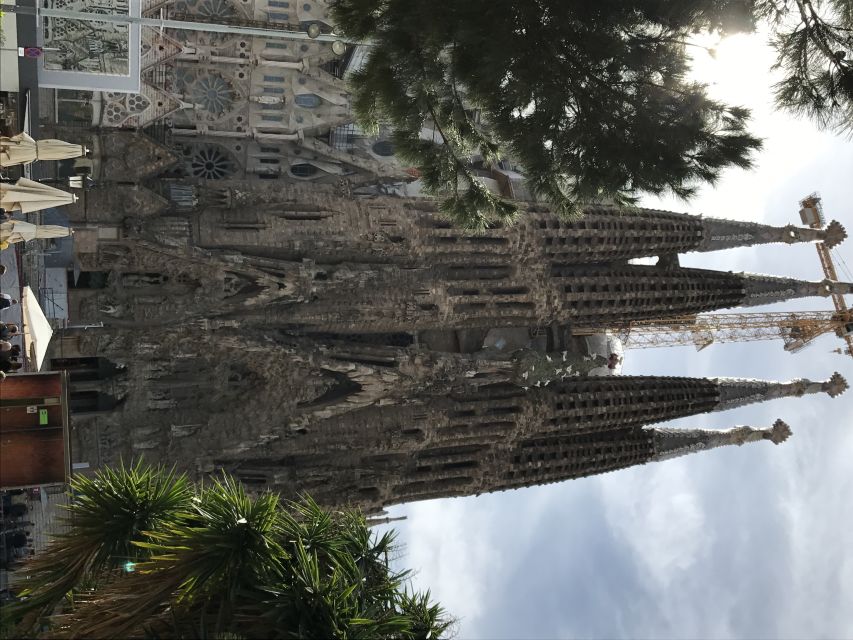 From Salou: Full Day Barcelona Panoramic Tour with Free Time - Montjuïc, the Olympic Village, and Arc de Triomf