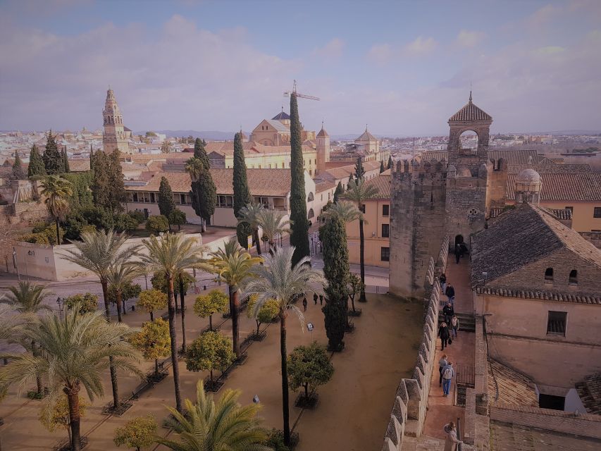From Seville: Cordoba, the Mosque and Carmona Day Trip - The road to Córdoba and the first city views