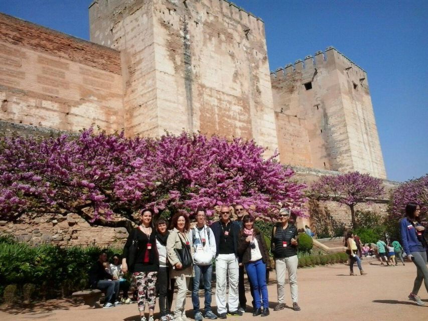 From Seville: Granada Day Trip with Alhambra and Albaicín - Choosing the right Alhambra option