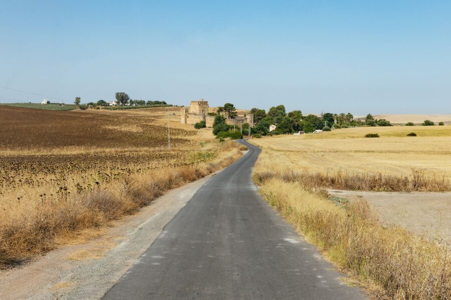From Seville: Pueblos Blancos and Ronda Full-Day Trip - A scenic drive through cork oak and cattle country
