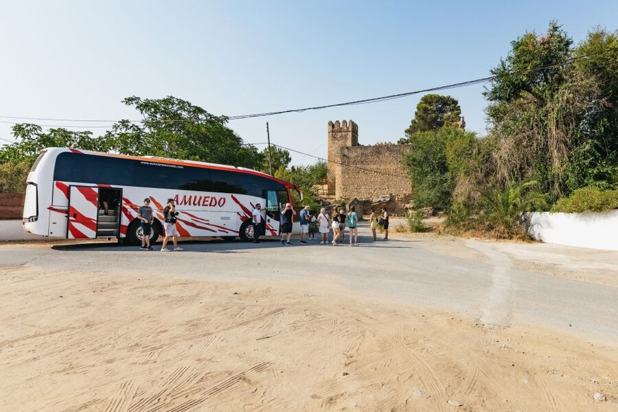 From Seville: Pueblos Blancos and Ronda Full-Day Trip - Guides, languages, and the feel of the day