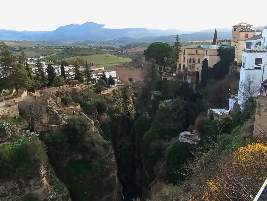From Seville: Ronda+Setenil de las Bodegas Day Trip - The long ride through Andalusian countryside