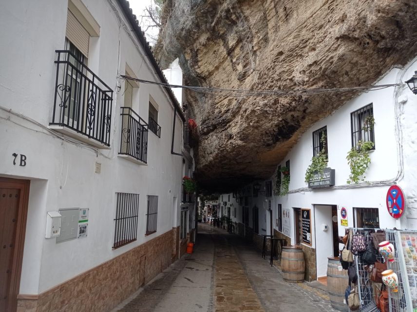 From Seville: Ronda+Setenil de las Bodegas Day Trip - The return journey and the real cost of the day