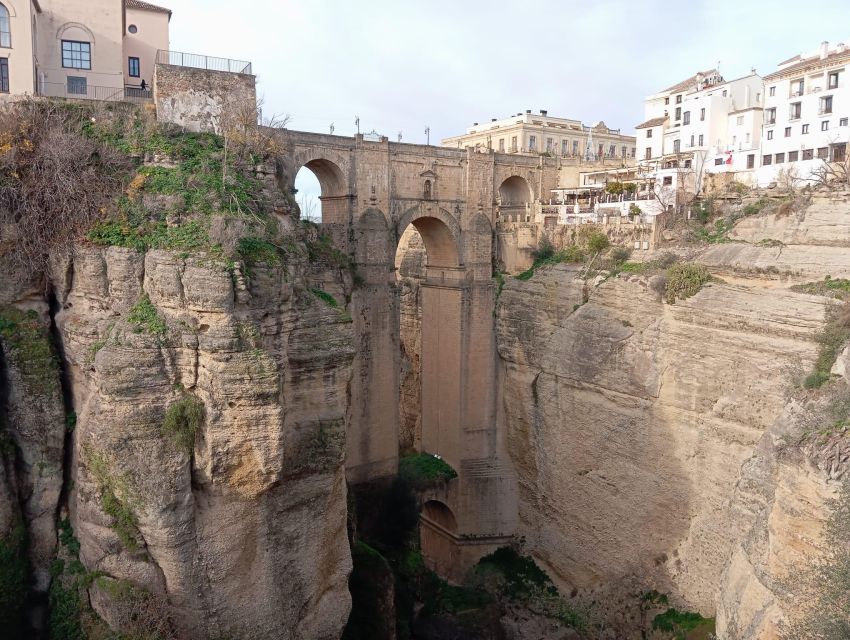 From Seville: Ronda+Setenil de las Bodegas Day Trip - Who will enjoy this day trip most