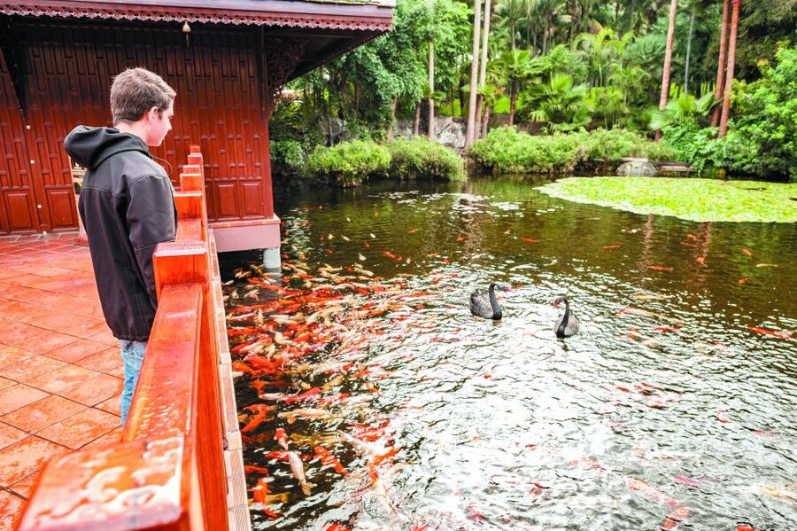 From South Tenerife: Loro Park Zoo Ticket & Hotel Transfers - Food and drink need a little thought