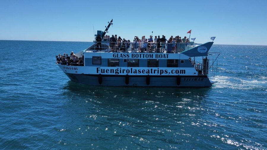 Fuengirola: Catamaran Tour to Spot Dolphins - Leaving Fuengirola Harbor for Open Water