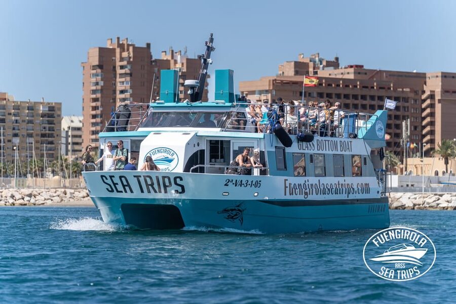 Fuengirola: Catamaran Tour to Spot Dolphins - Searching for Dolphins Across the Mediterranean