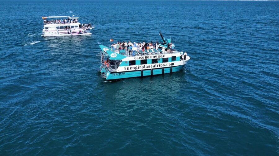 Fuengirola: Catamaran Tour to Spot Dolphins - What the Two Hours Feel Like
