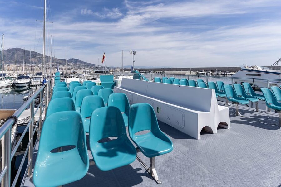 Fuengirola: Catamaran Tour to Spot Dolphins - When to Go: Morning or Afternoon