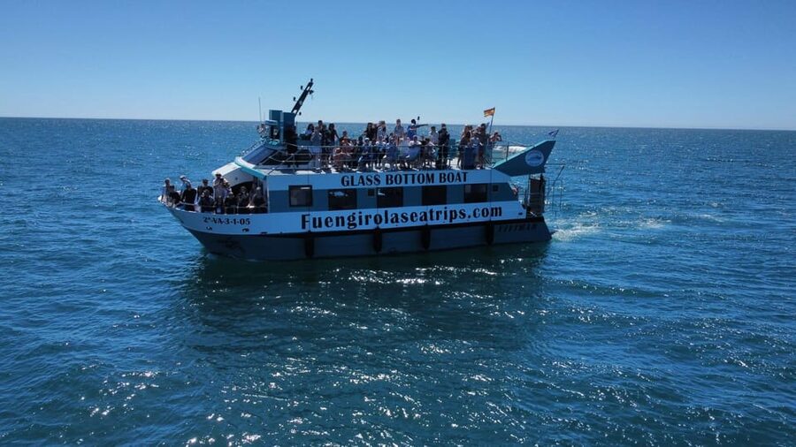 Fuengirola: Catamaran Tour to Spot Dolphins - Should You Book the Fuengirola Dolphin Cruise?