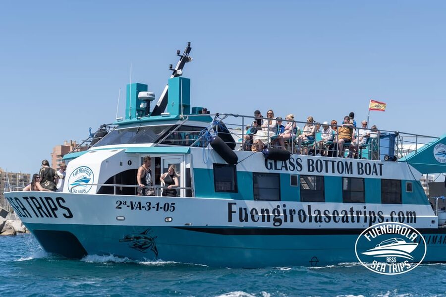 Fuengirola: Catamaran Tour to Spot Dolphins - Finding the Best Spot on the Catamaran