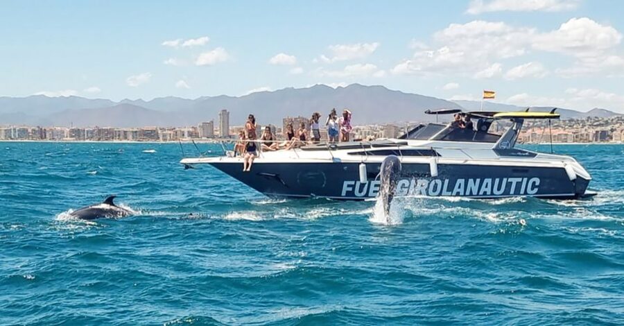 Fuengirola: Dolphin Watching by Yacht with Snacks and Drinks - What happens when the sea is choppy
