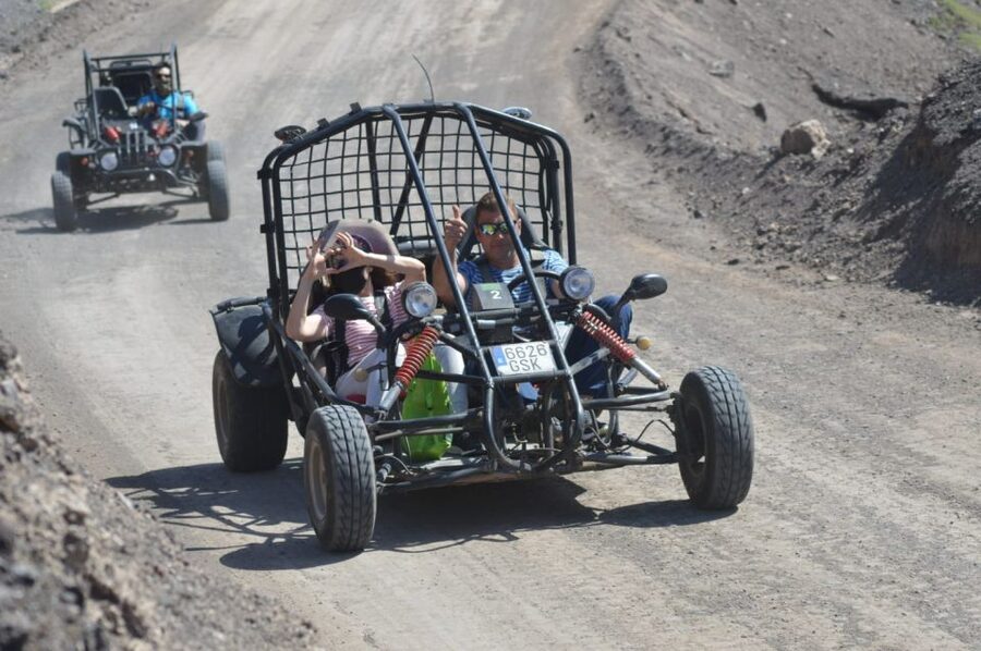 Fuerteventura: Jandía Natural Park & The Puertito Buggy Tour - Wildlife: Possible, Not Guaranteed