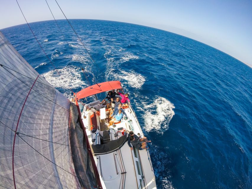 Fuerteventura: Sailing with Snorkeling and Dolphin Watching - Key points at a glance