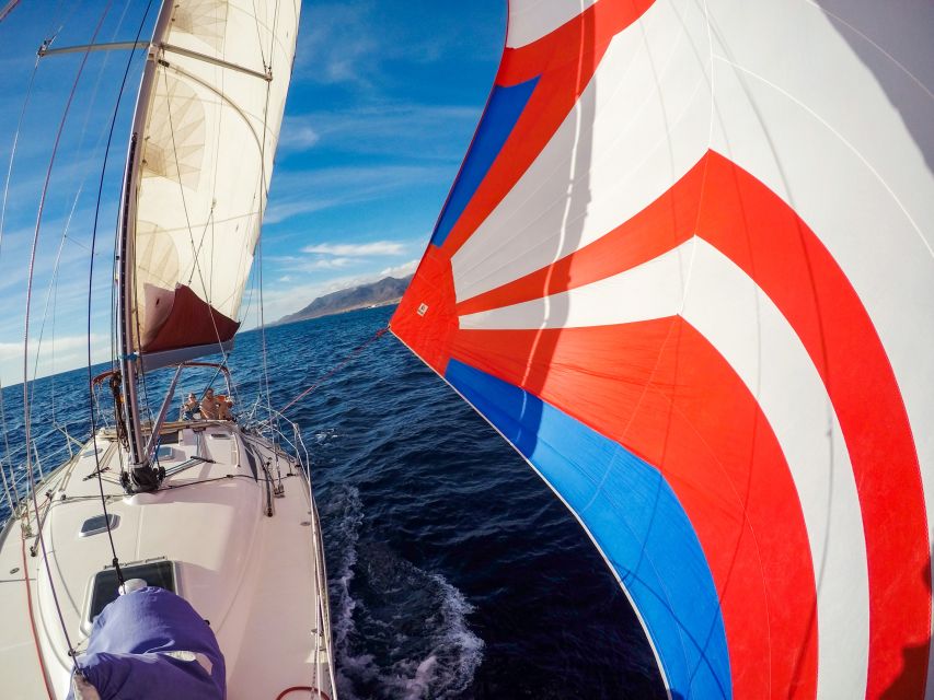 Fuerteventura: Sailing with Snorkeling and Dolphin Watching - The crew makes the difference