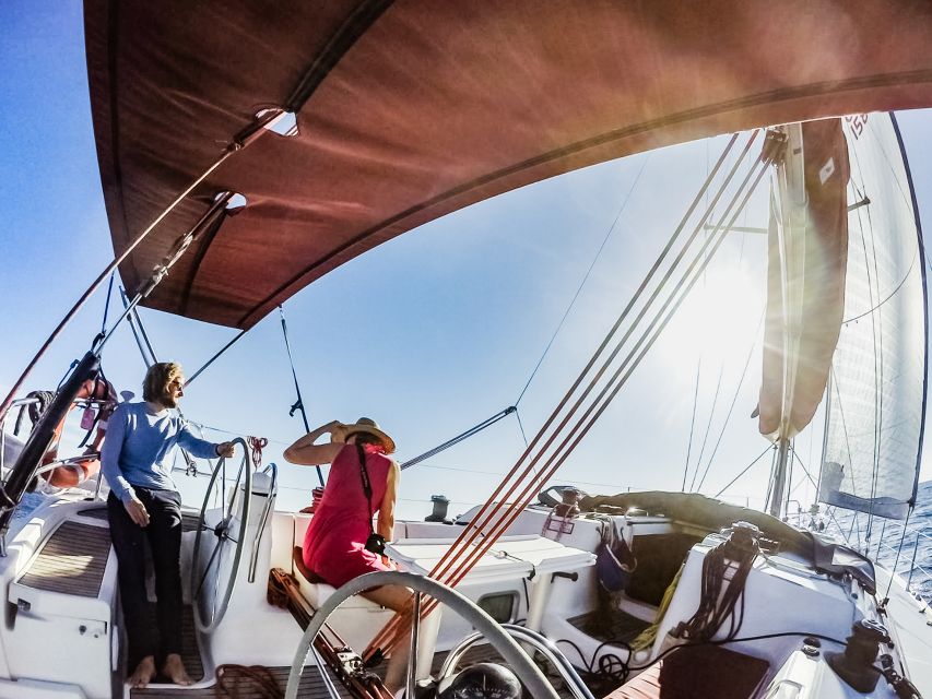 Fuerteventura: Sailing with Snorkeling and Dolphin Watching - How the $104 price compares