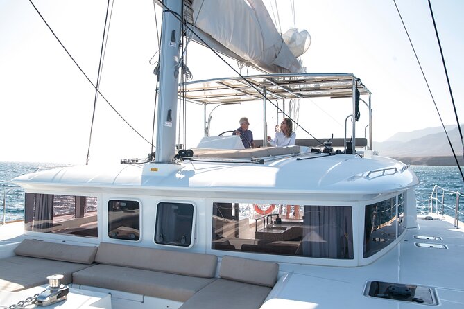 Fuerteventura: Small-Group Magic Deluxe Catamaran Cruise - Looking for dolphins, whales, turtles, and flying fish