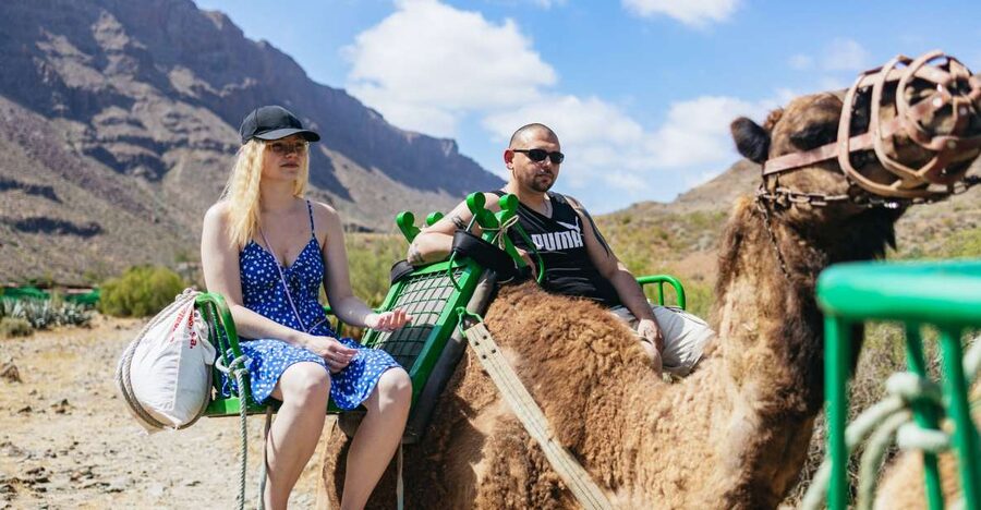 Gran Canaria: Camel Ride Safari w/ Optional Food & Transport - The Oasis of the 1,000 Palms