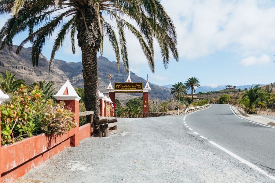 Gran Canaria: Camel Ride Safari w/ Optional Food & Transport - Practical advice for a smoother visit