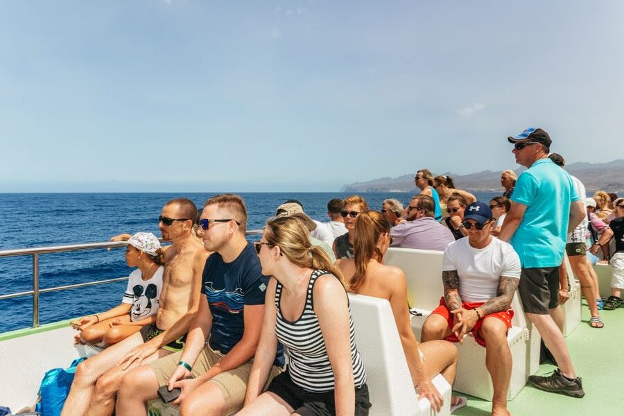 Gran Canaria: Dolphin and Whale Watching Cruise - Whales, turtles, and flying fish