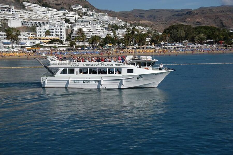 Gran Canaria: Dolphin and Whale Watching Cruise - Crew members who make a difference