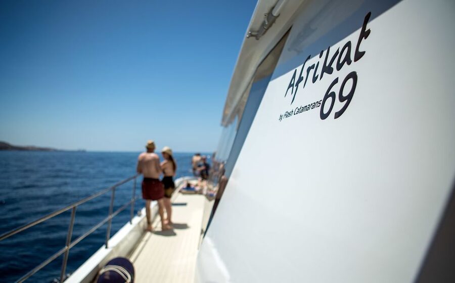 Gran Canaria: Fun Catamaran Cruise with Food and Drinks - Should you book the Afrikat cruise?