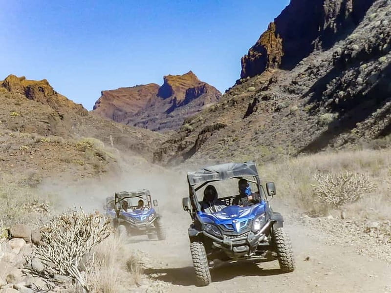 Gran Canaria Guided Buggy Tour - Is this the right Gran Canaria excursion for you?