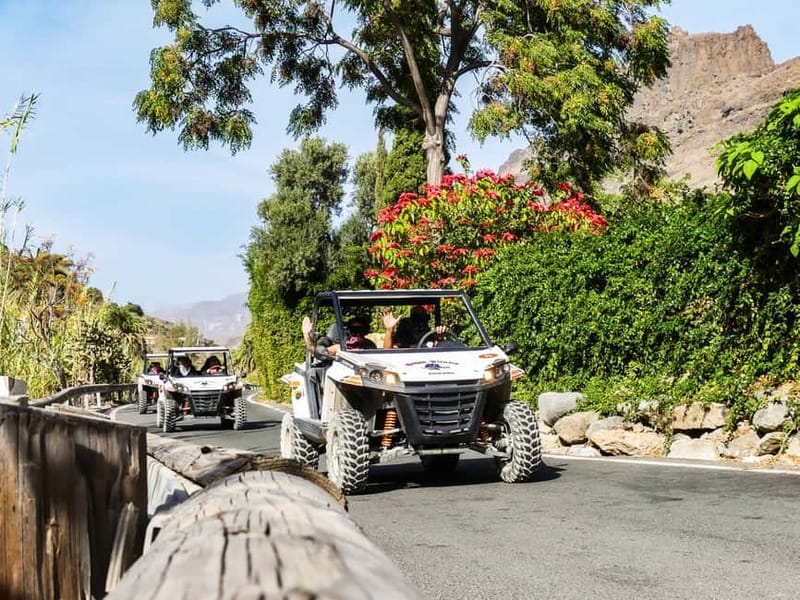 Gran Canaria Guided Buggy Tour - FAQ