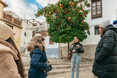 Albaicín and Sacromonte Guided Sunset Walking Tour