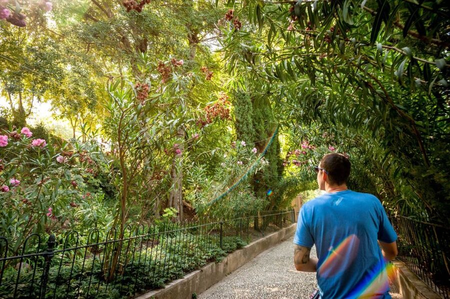 Granada: Alhambra Entry Ticket with Audio Guide - Alcazaba Fortress and the best views