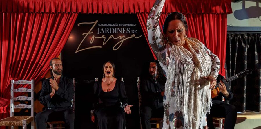Granada: Flamenco Show in Albaycin - Jardines de Zoraya - Getting there and planning the evening