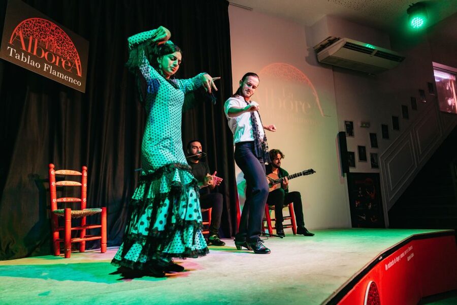 Granada: Flamenco Show in La Alboreá - How the one-hour performance unfolds