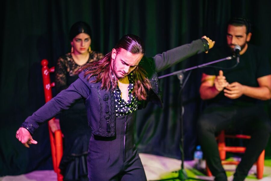 Granada: Flamenco Show in La Alboreá - Practical details that shape your night