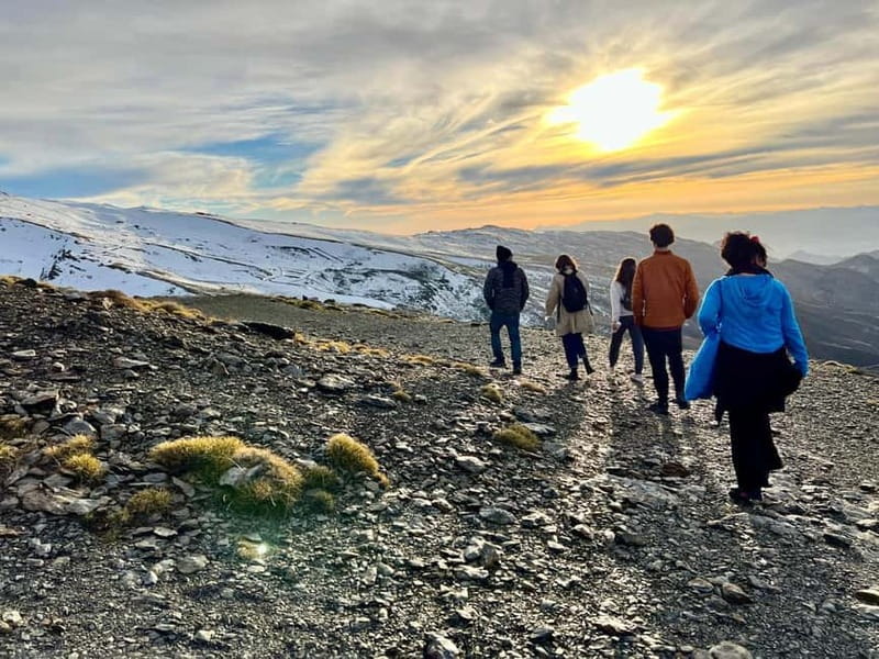 Granada: Sierra Nevada Safari Tour to 2500 m with a Drink - Who will enjoy this Sierra Nevada tour?