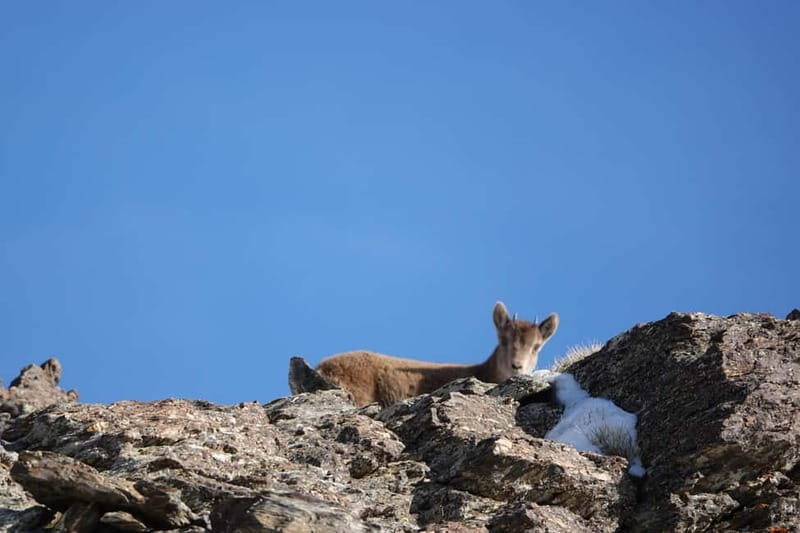 Granada: Sierra Nevada Safari Tour to 2500 m with a Drink - How much the $85 price is worth