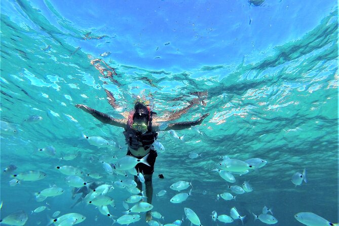 Ibiza Snorkeling Beach and Cave Tour - Quick points to know before booking