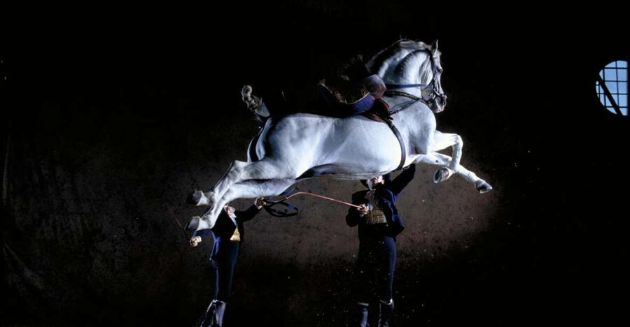 Jerez de la Frontera: Andalusian Horse Dance and Museums - Start with the audio-visual presentation