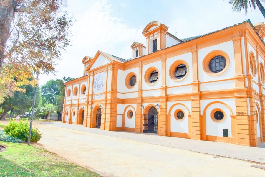 Jerez de la Frontera: How the Andalusian Horses Dance - Key points to know before you book