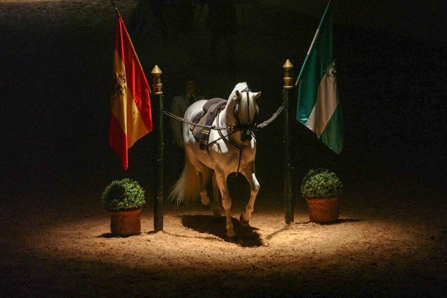 Jerez de la Frontera: How the Andalusian Horses Dance - Carriage driving brings old transport back to life